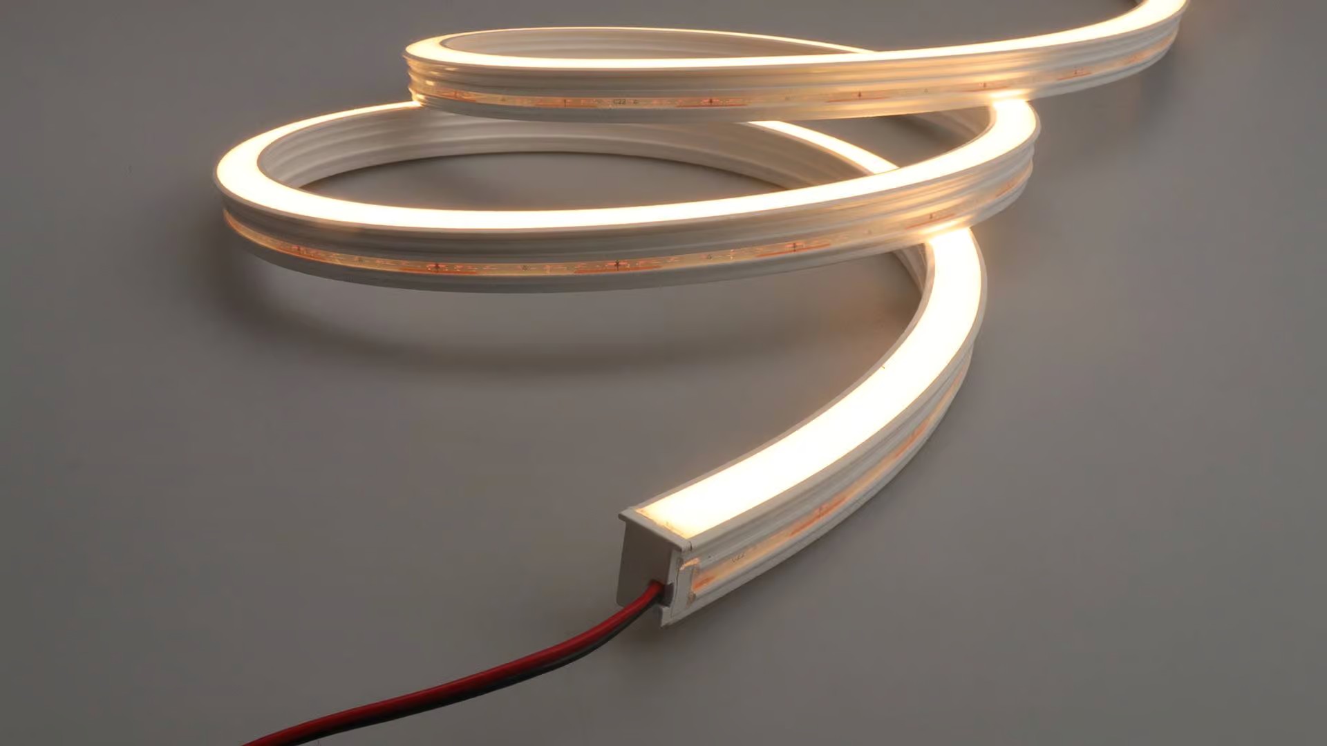 Wing Designed Neon Series